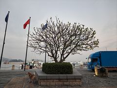 -南沙游艇会·大兵船餐厅