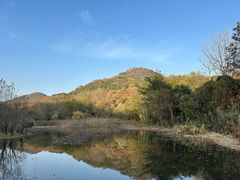 -西湖风景区-江洋畈生态公园