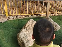 -海合安成都极地海洋公园