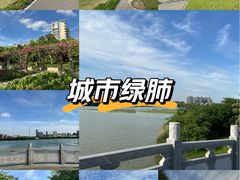 -金银湖国家城市湿地公园