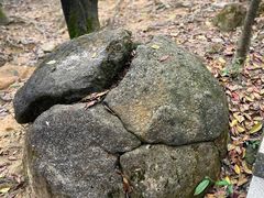 -火炉山森林公园