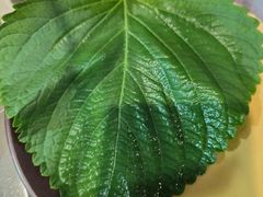 -阳阳中国饭(北京荟聚店)