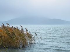 -苏州太湖国际会议中心