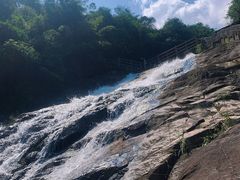 -广州白江湖森林公园