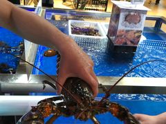-盒马X会员店(王府井奥莱UP TOWN店)