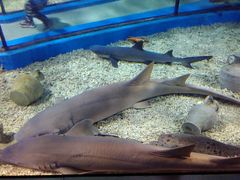 -福州罗源湾海洋世界旅游区