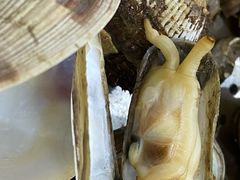 -海帮主·蒸汽海鲜青岛菜(栈桥火车站店)
