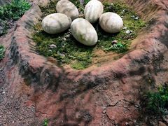 -湖南省地质博物馆