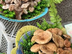 -佳缘野生菌食府