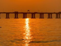 -宝安西湾红树林湿地公园