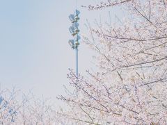 -西湖风景区-江洋畈生态公园