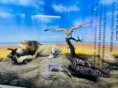 -国家自然博物馆