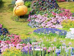 -云溪植物园
