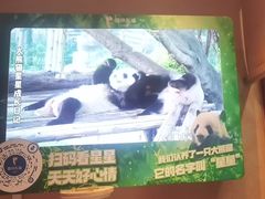 -眉州东坡(民族园店)
