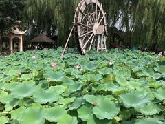 -河北村民俗体验园
