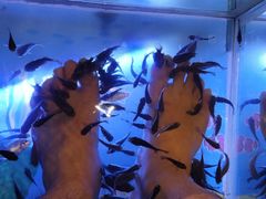 -汤连得温泉馆(宝山店)