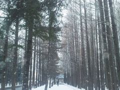 -大连理工大学(凌水校区)