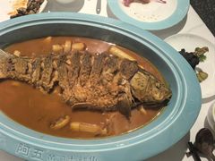 -阿五黄河大鲤鱼(海尚店)