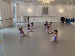 -芭蕾仙子 FairyBallet 少儿芭蕾舞蹈中心(丽都旗舰店)