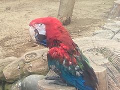 -大连森林动物园