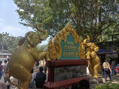 -西双版纳傣族园