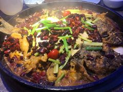 -老板恋上鱼(恒隆广场店)