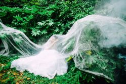 点击看大图 -茜茜公主婚纱摄影会馆