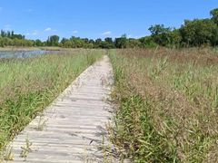 -野鸭湖国家湿地公园