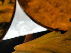 -国家会展中心上海洲际酒店