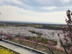 -古柏渡飞黄旅游区