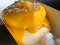 芝芝芒芒梳乎厘-狐狸和向日葵(北京路店)