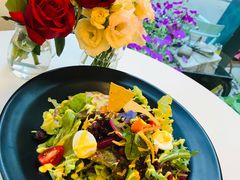 wkate&nbsp;salad&nbsp;威克特沙拉-威克特披萨汉堡