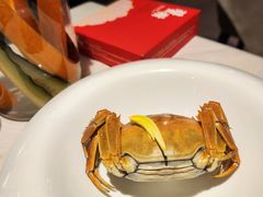 -蟹榭(静安寺晶品商场店)