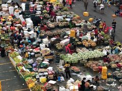 -三亚新鸿港水果一级批发市场