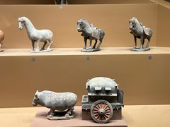 -大同市博物馆
