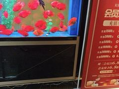 -臻享养生·SPA·影院式足道(汇臻店)