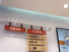 -野人先生现做冰淇淋(西安赛格店)