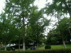 -泰州凤城河风景区-泰山公园