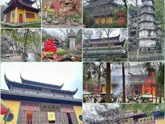 -杭州西溪喜来登度假大酒店