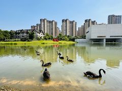 -洋湖国家湿地公园