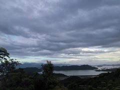 -黄贤森林公园