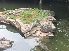 -南昌动物园