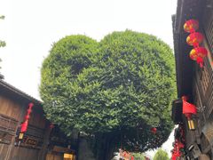 -三坊七巷历史文化街区