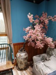 点击看大图 -星豆豆儿童摄影(南郊太白南路店)