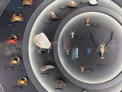 -中国湿地博物馆