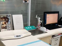 -美美宠物诊疗中心·异宠·骨科(滨江东信分院)