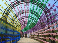 -杭州湾海上花田景区
