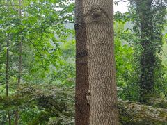 -敬亭山风景名胜区