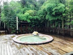 -天目湖涵田半山温泉
