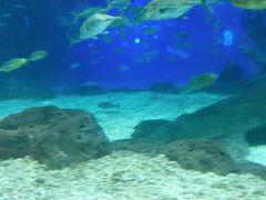 -福州罗源湾海洋世界旅游区